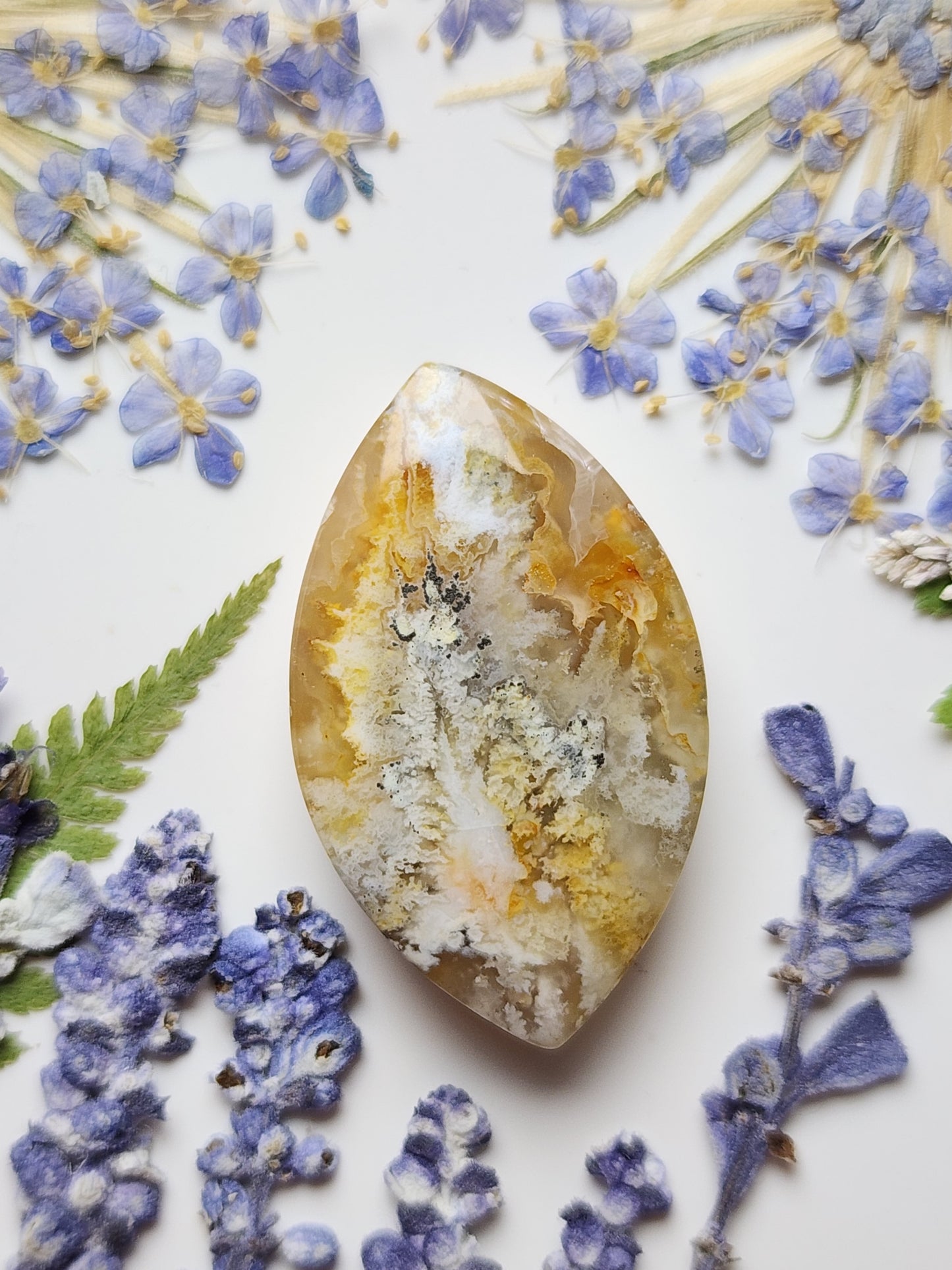 North ridge plume agate