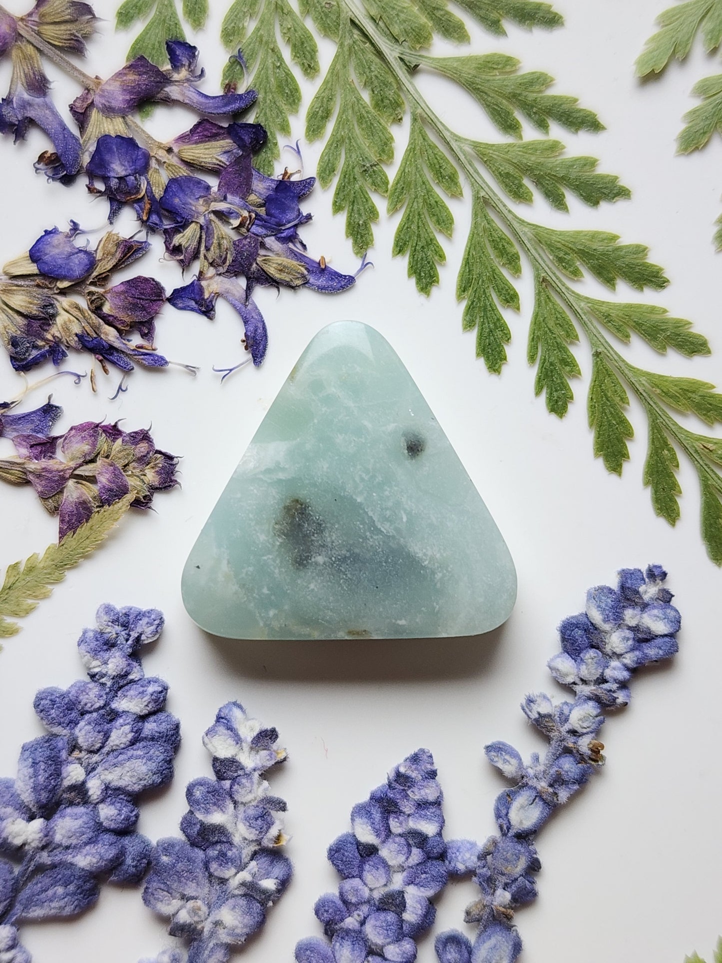 BC Ocean picture stone