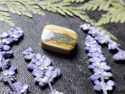 Starry night picture jasper
