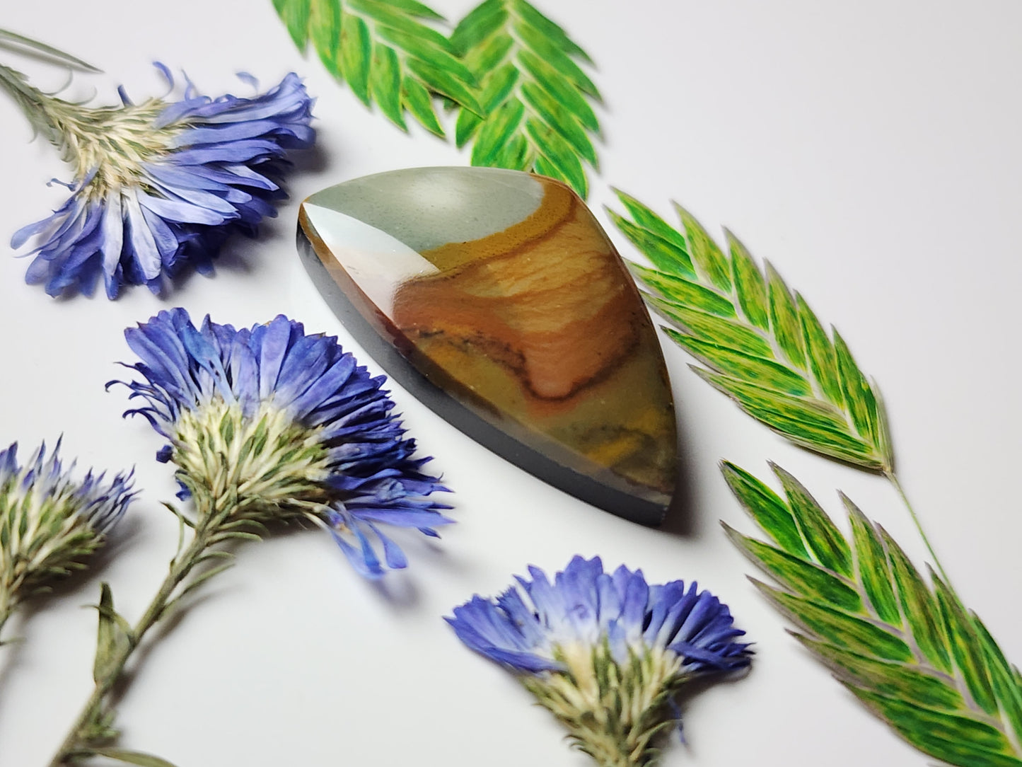 Rocky Butte picture jasper