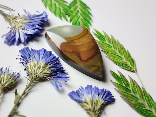 Rocky Butte picture jasper