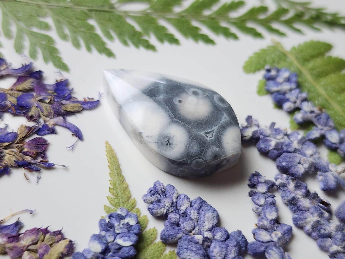 Galaxy Rhyolite