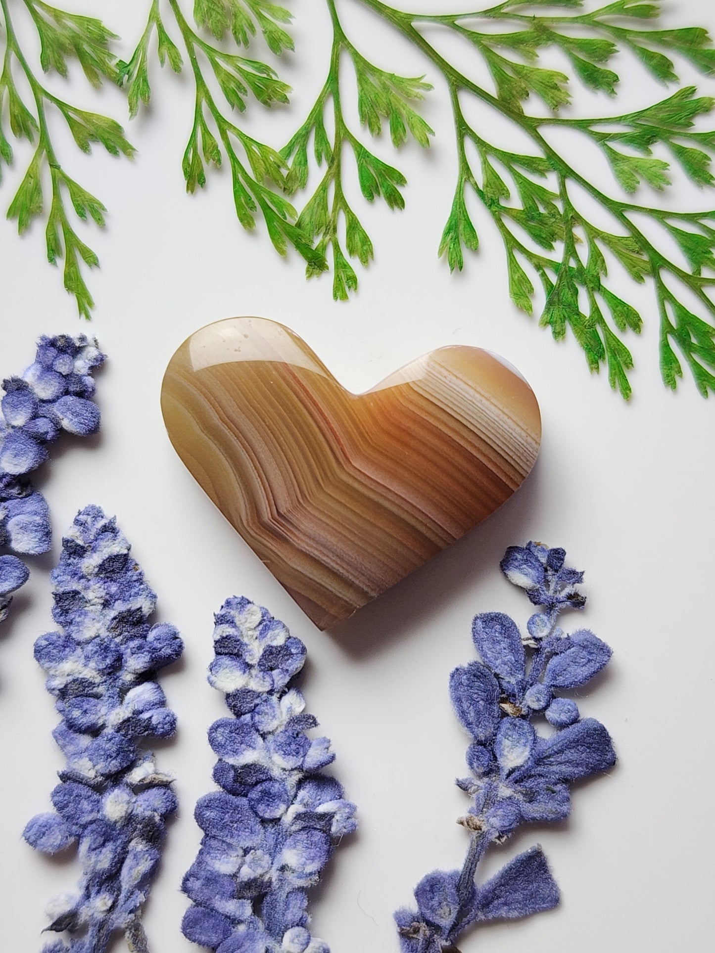 Agua Nueva agate heart