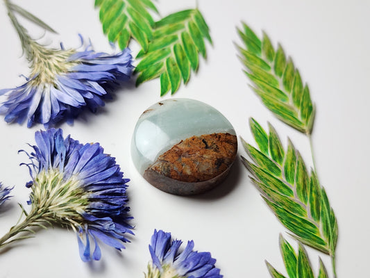 BC Ocean picture stone