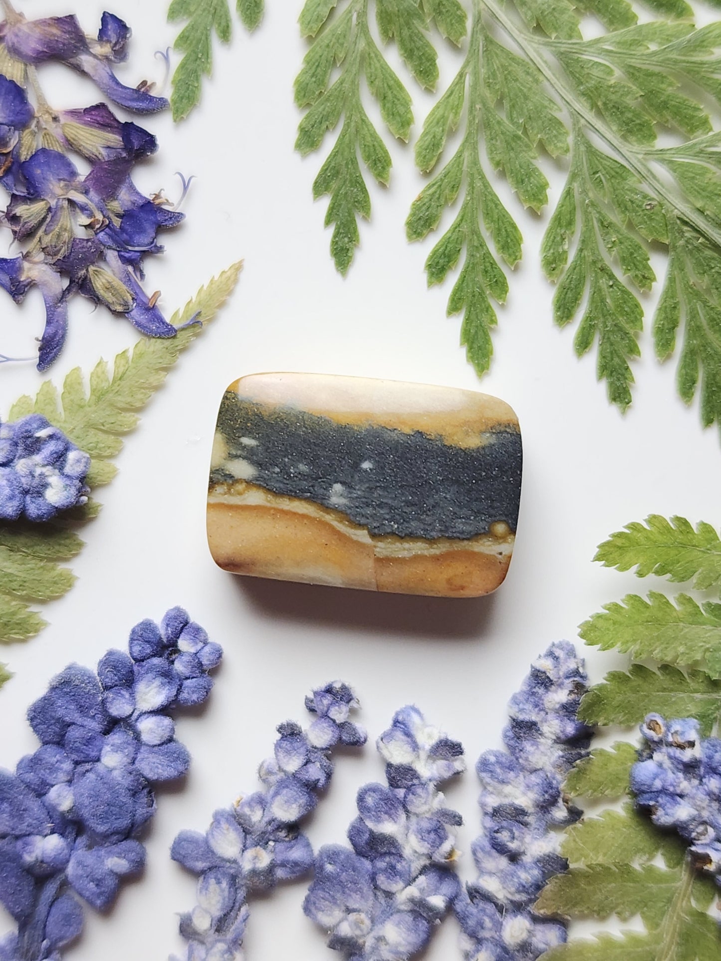 Starry night picture jasper