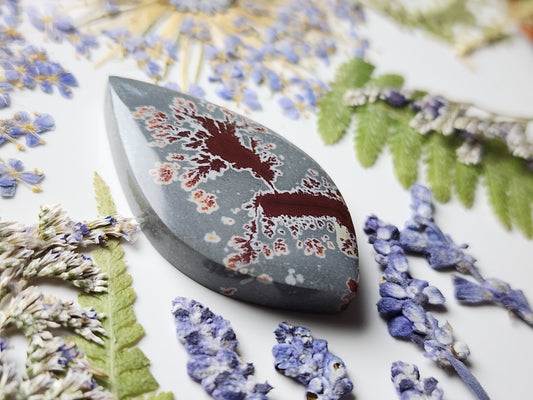 Sonoran Dendritic Rhyolite