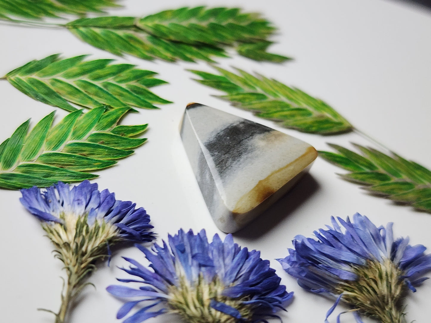 Starry night picture jasper