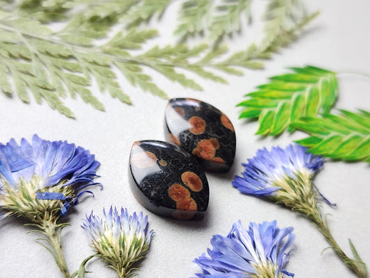 Peanut obsidian pair