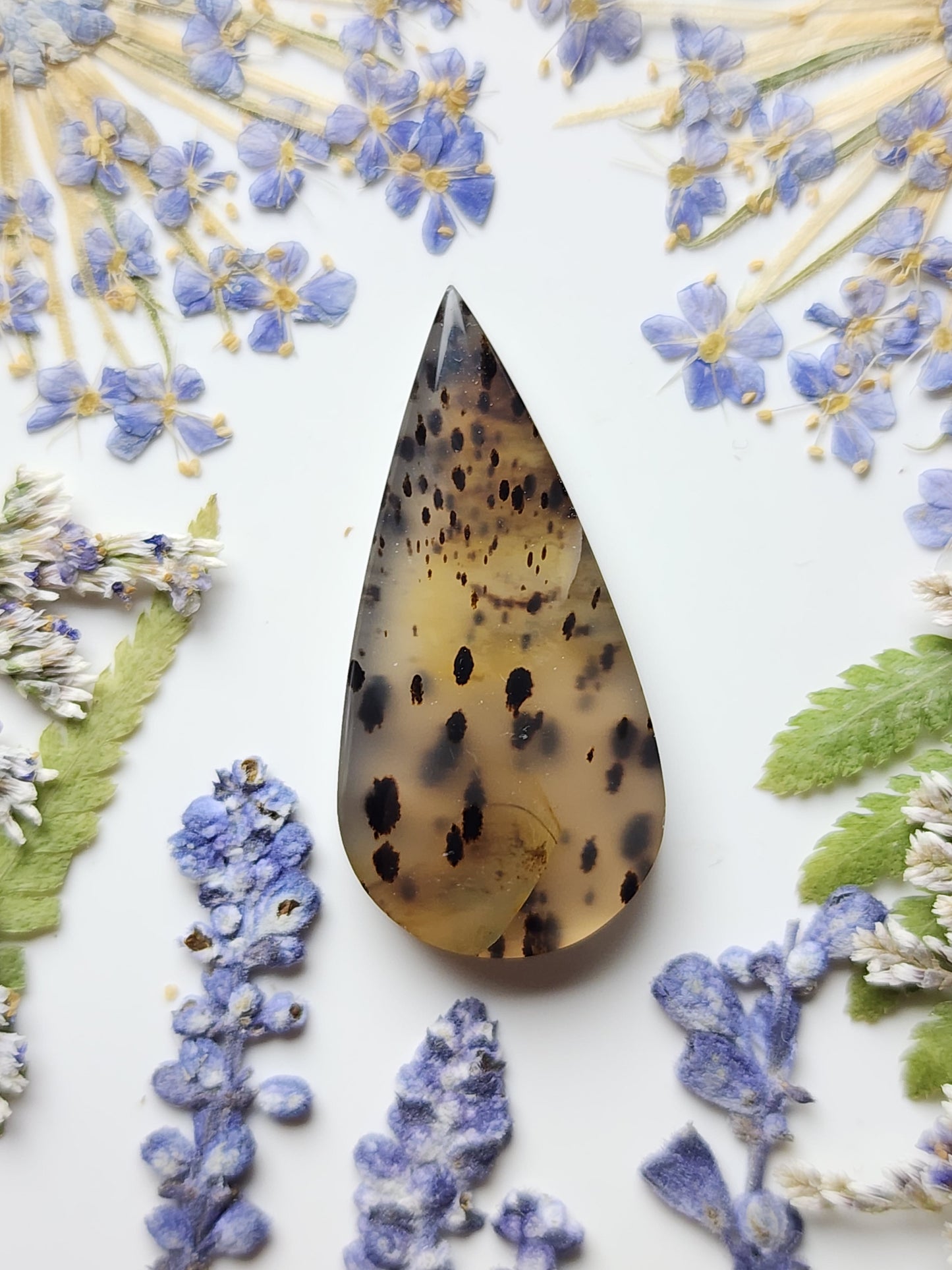 Montana agate