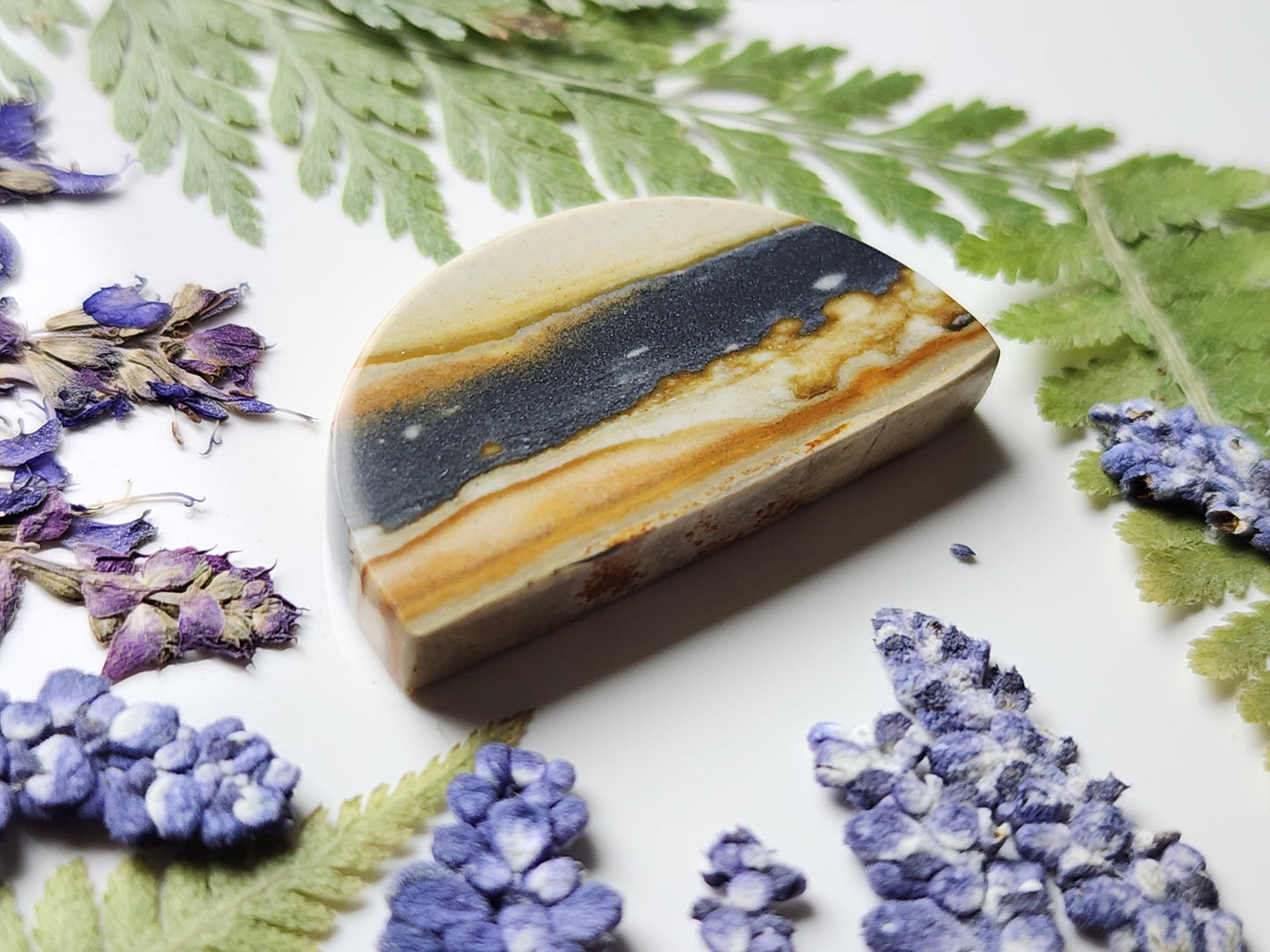 Starry night picture jasper