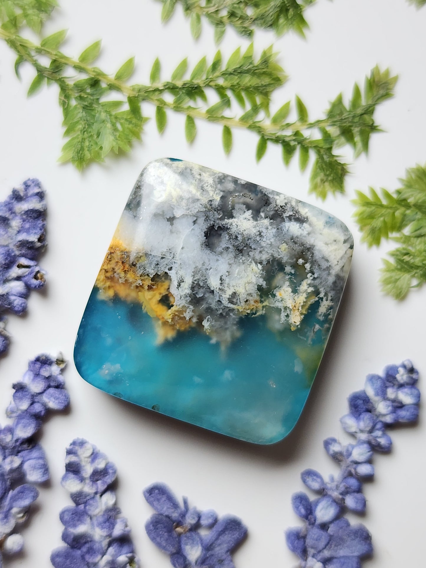 Bella Vista plume agate Doublet