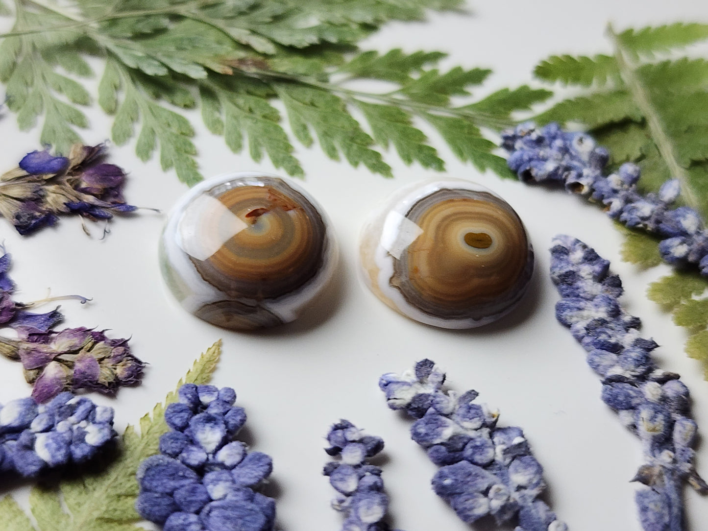 Ocean jasper pair