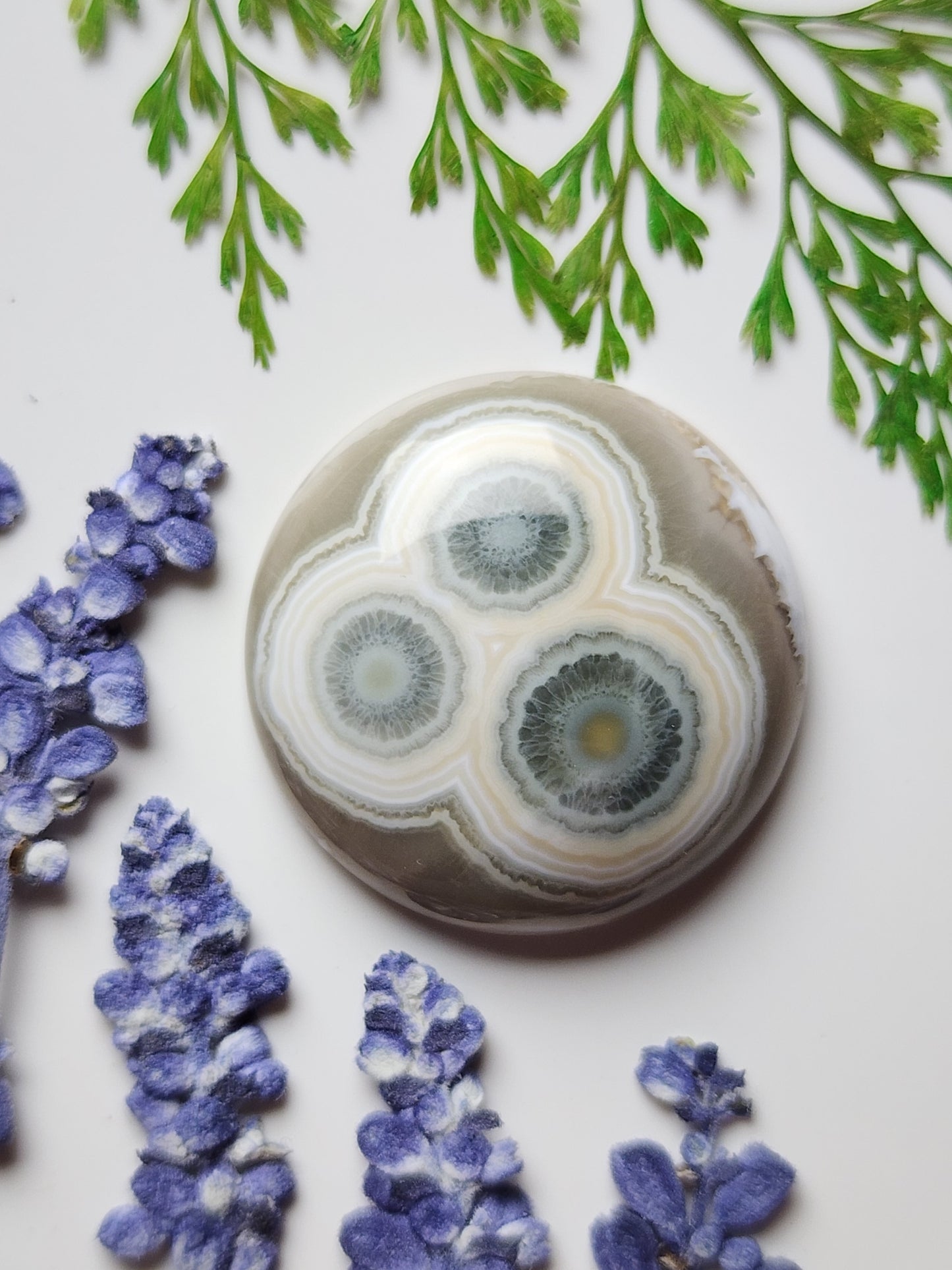 Ocean jasper