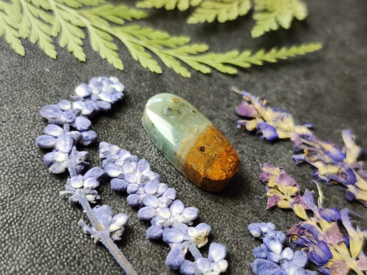 BC Ocean Picture Stone