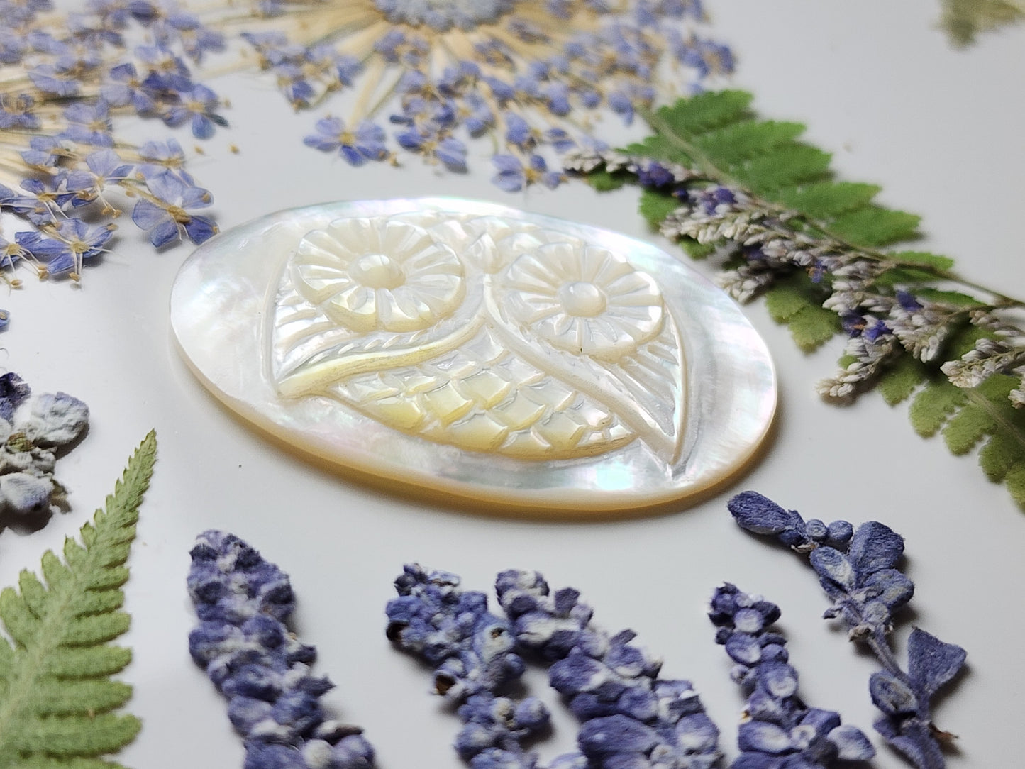 Owl face : handcarved from Mother of pearl shell