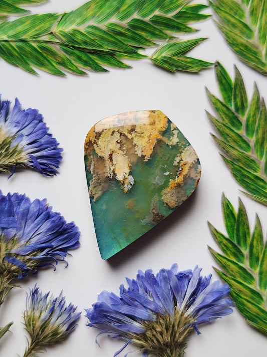 North ridge plume agate Doublet