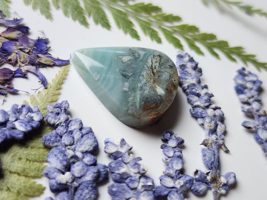 BC Ocean picture stone