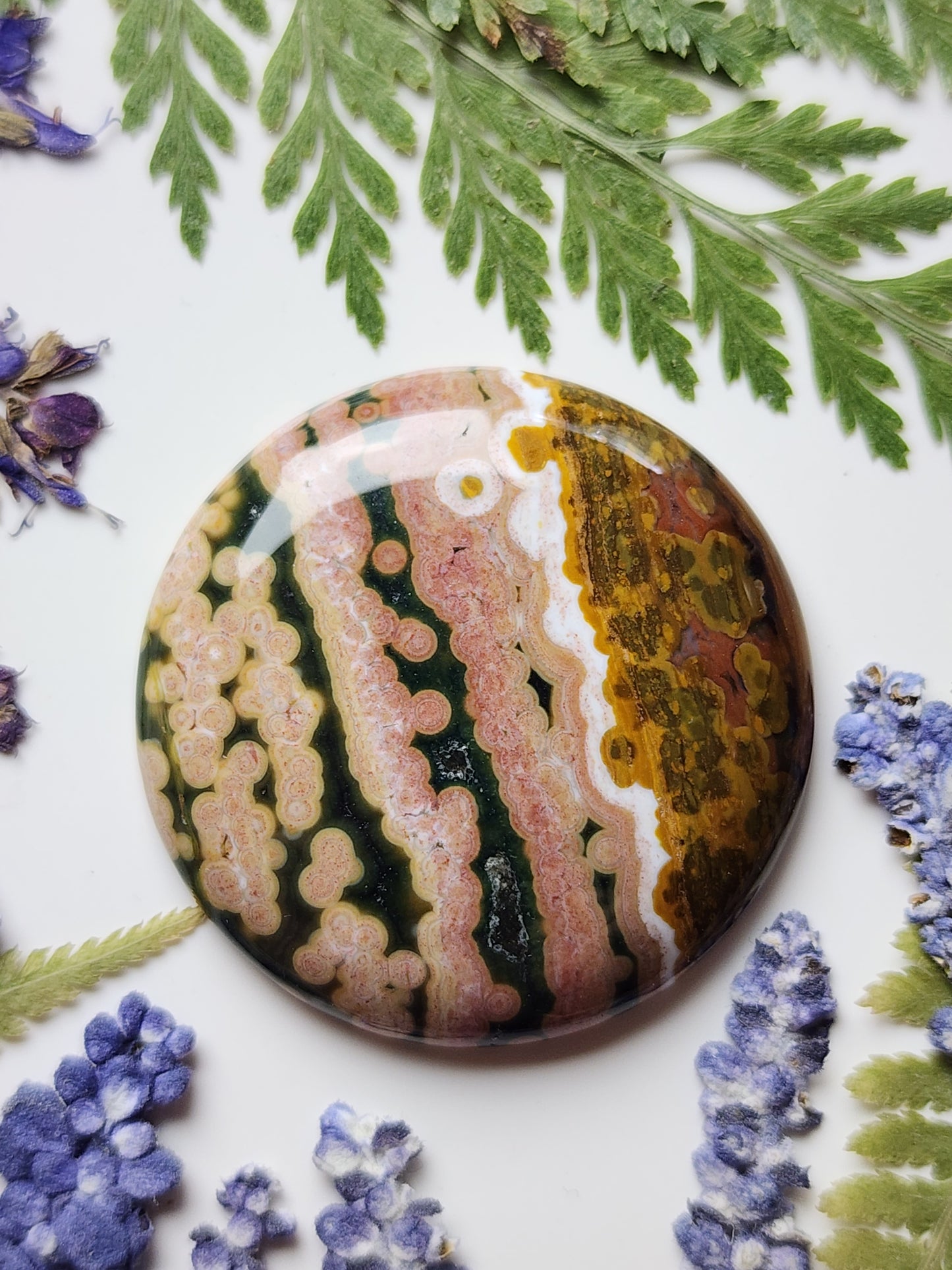 Ocean jasper