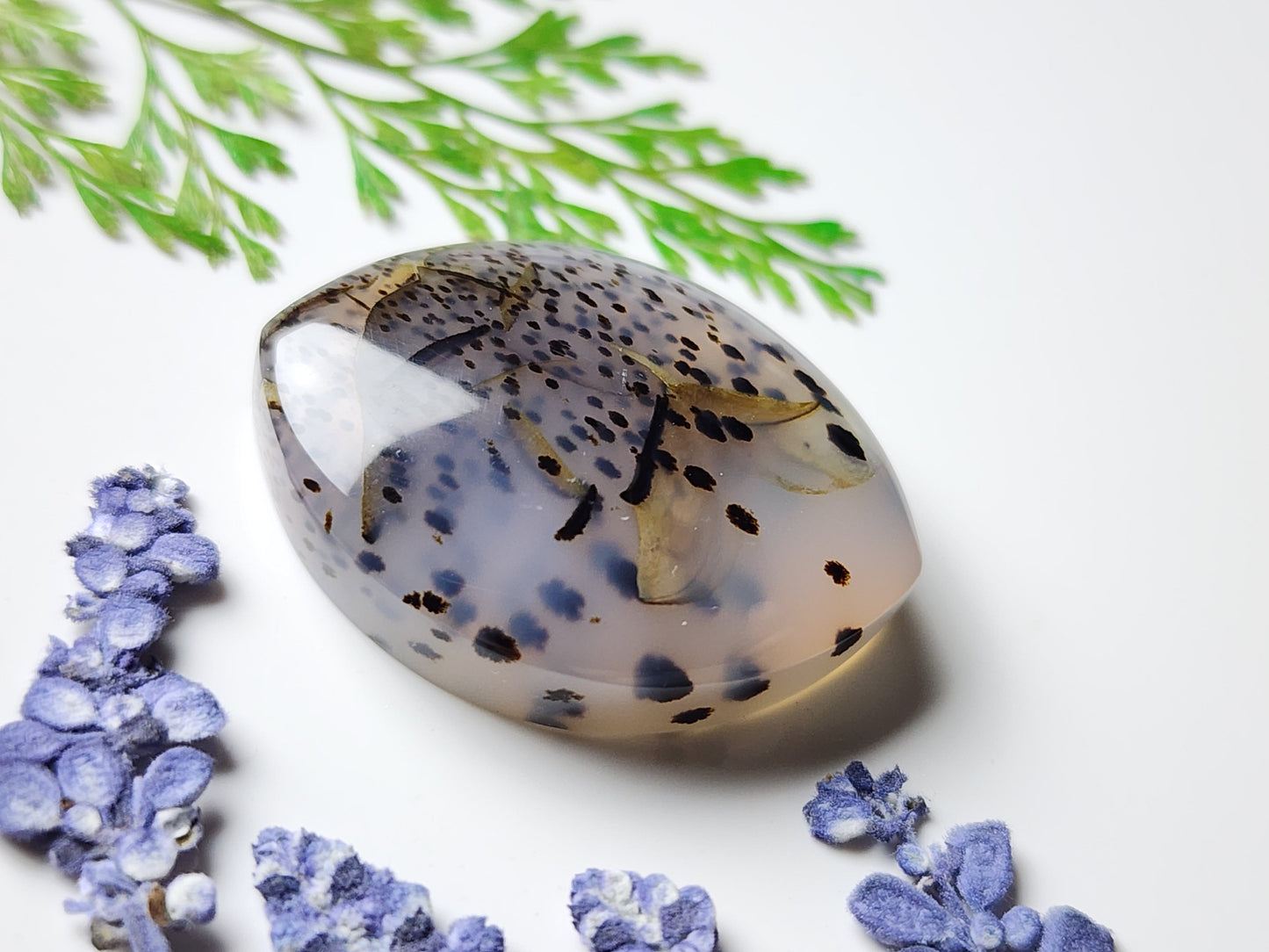 Montana agate