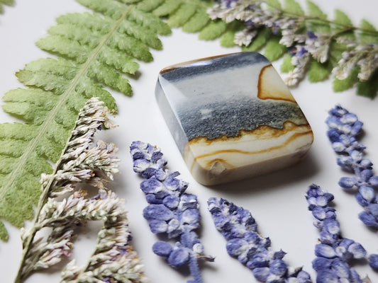 Starry night picture jasper