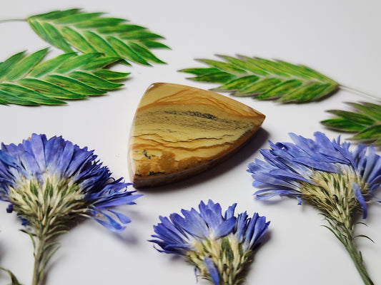 Owyhee picture jasper