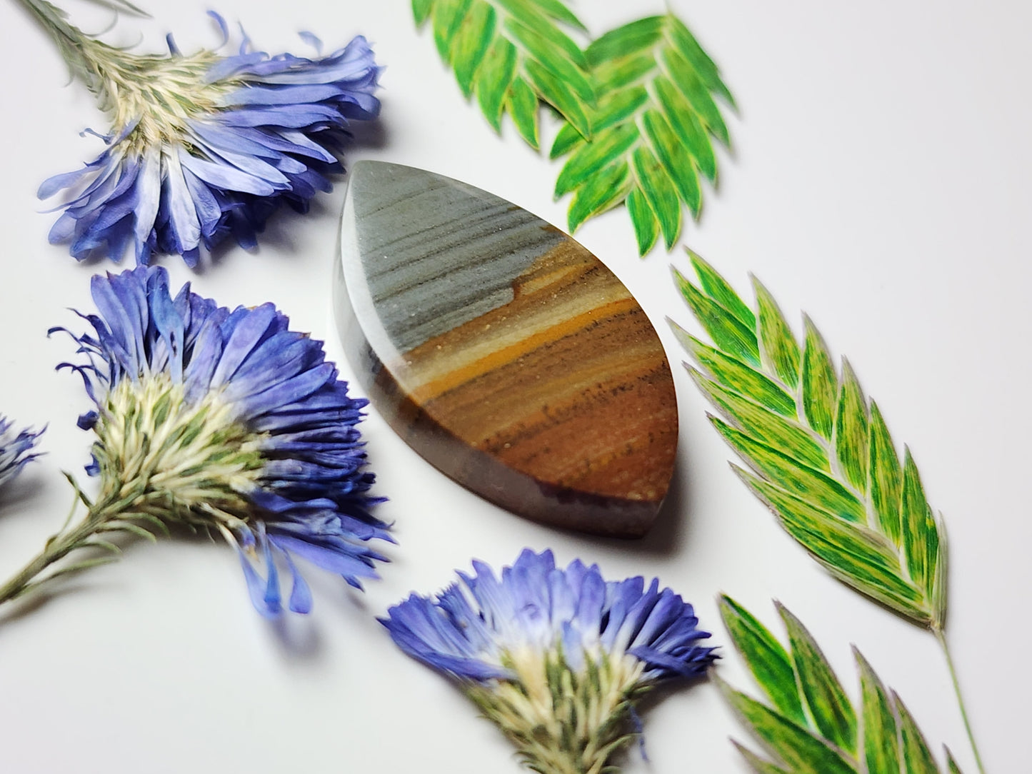 Spring mountain picture jasper