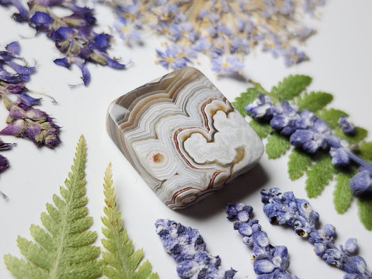 Laguna lace agate