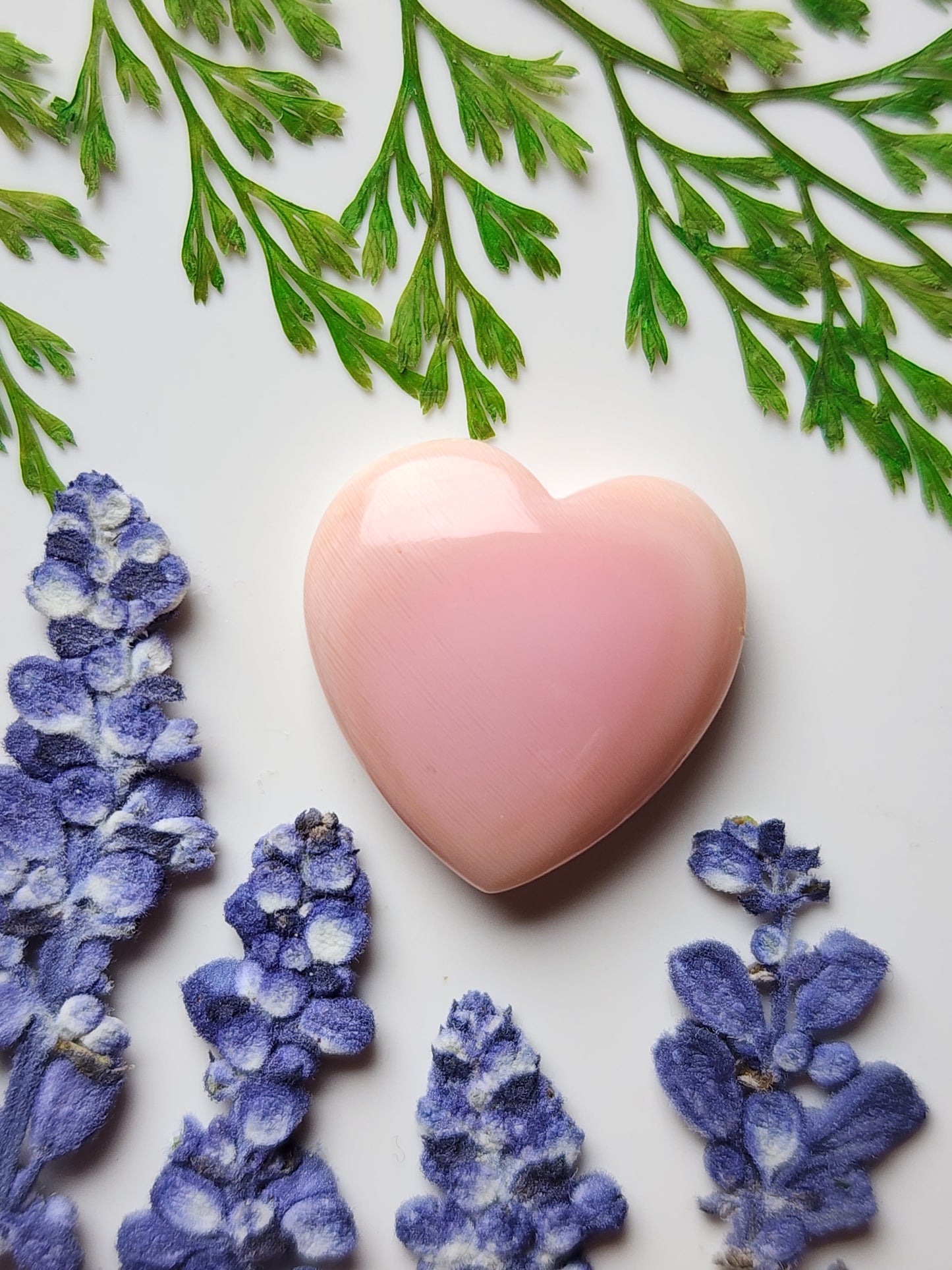 Pink conch shell heart