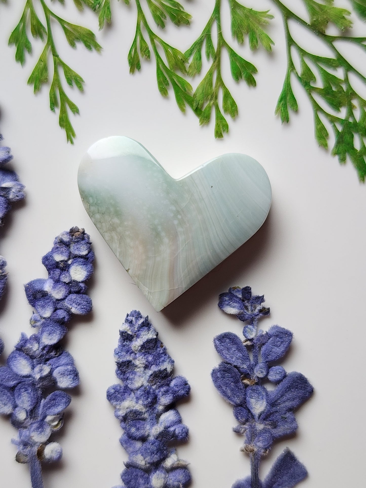 Shiva shell heart