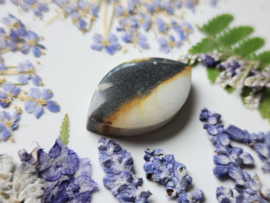 Starry night picture jasper