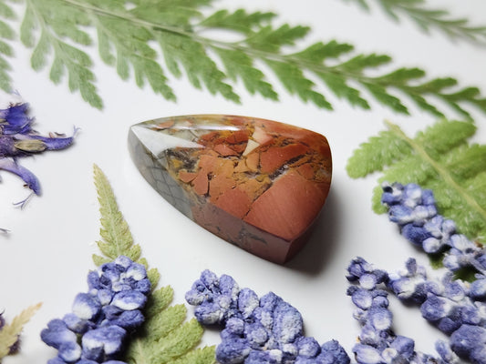 Brecciated Ibis jasper