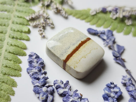 Chickem track picture jasper