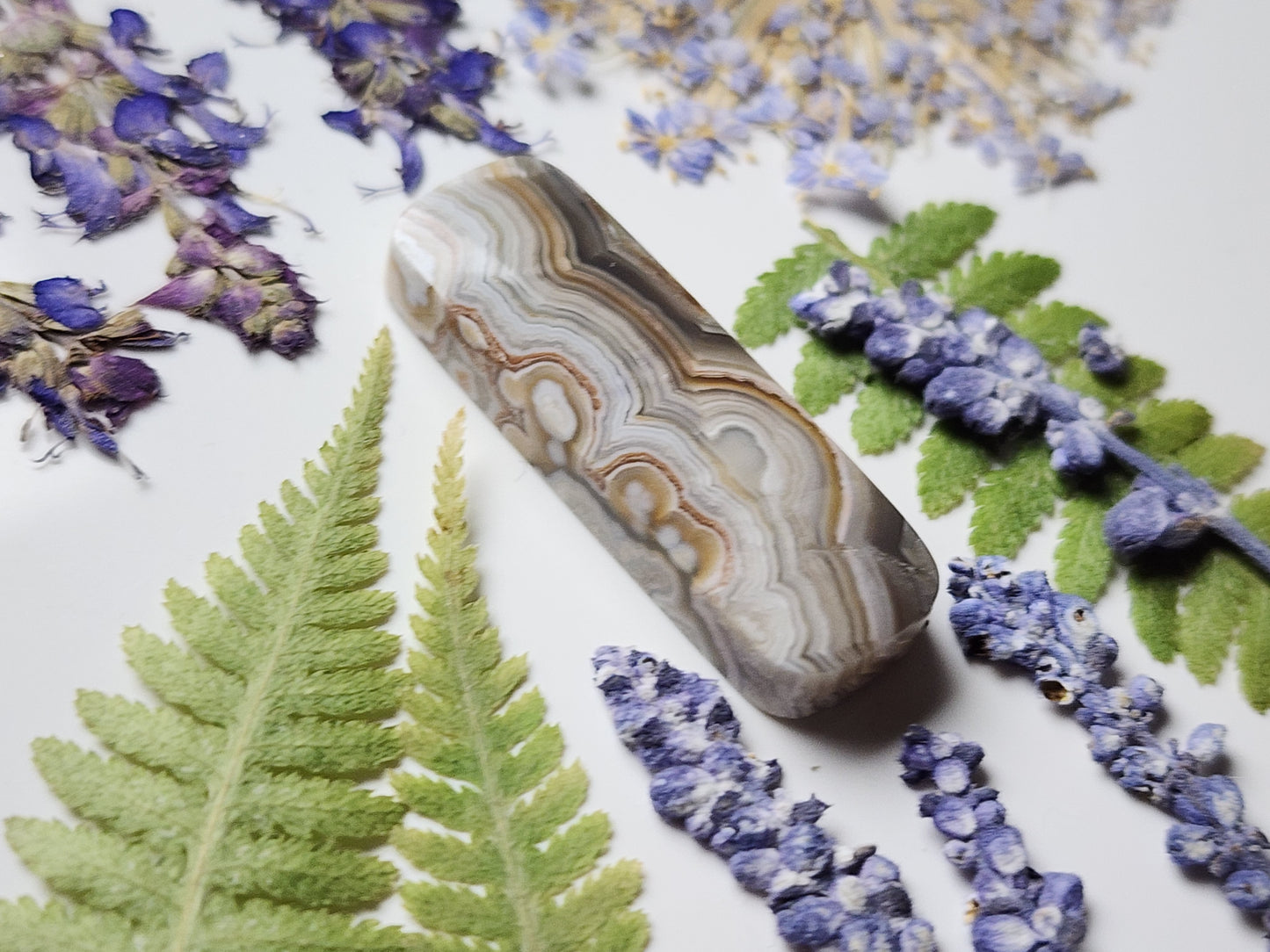 Laguna lace agate