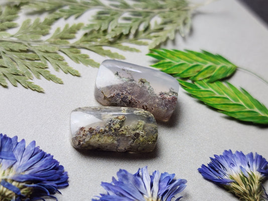 Garden Moss agate Duo