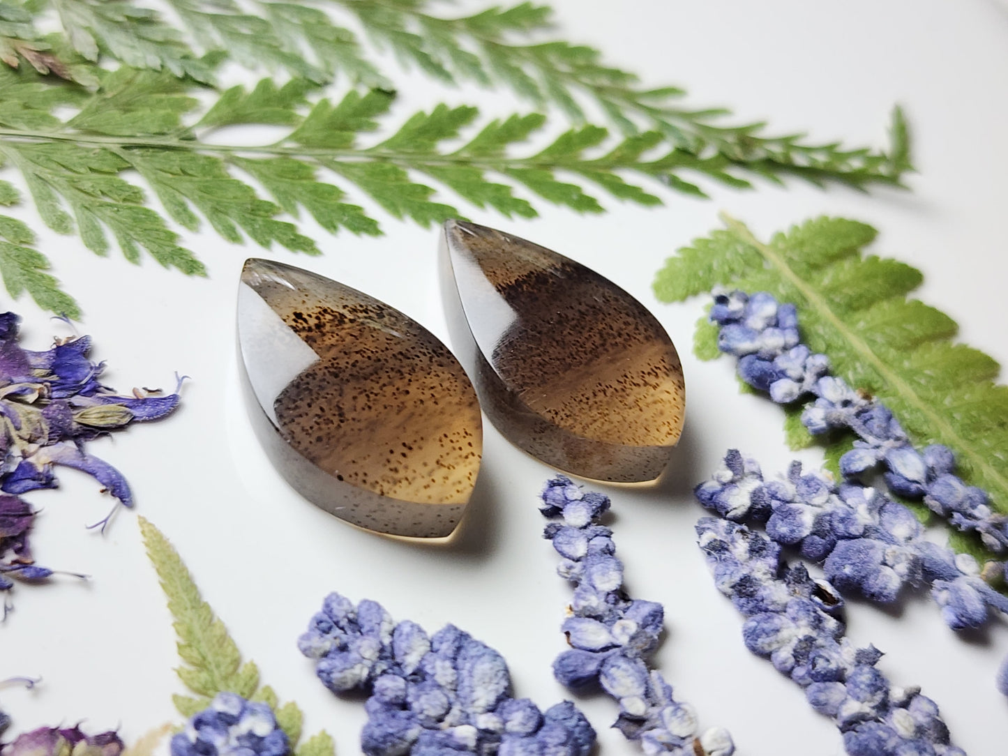 Montana agate pair