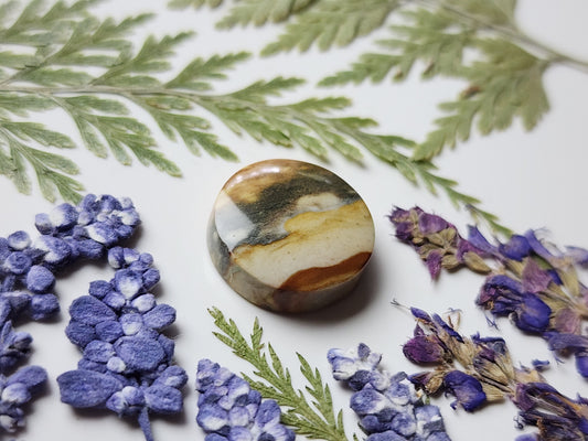 Starry night picture jasper