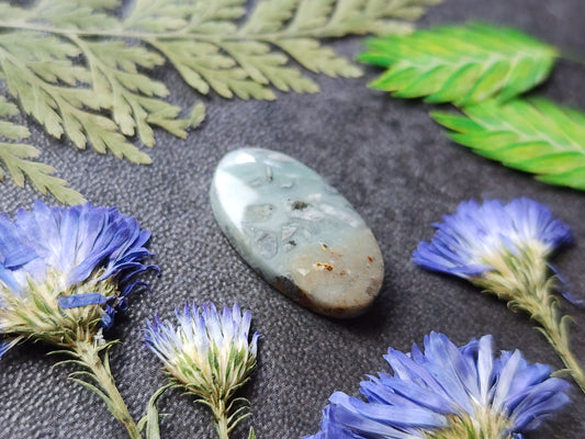 BC Ocean picture stone