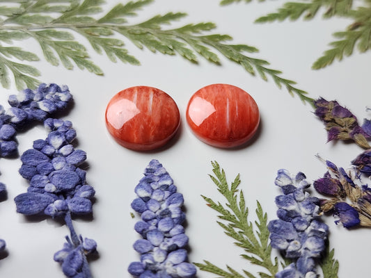 Spiny shell oyster pair