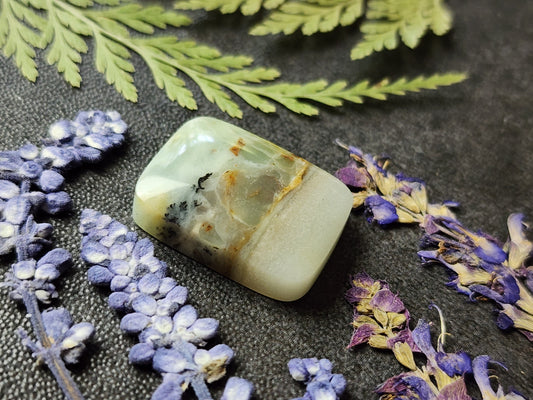 BC Ocean Picture Stone