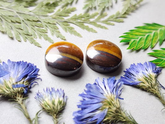 Tiger's eye pair