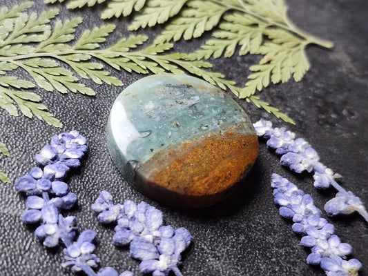 BC Ocean Picture stone