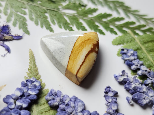 Palomino picture jasper