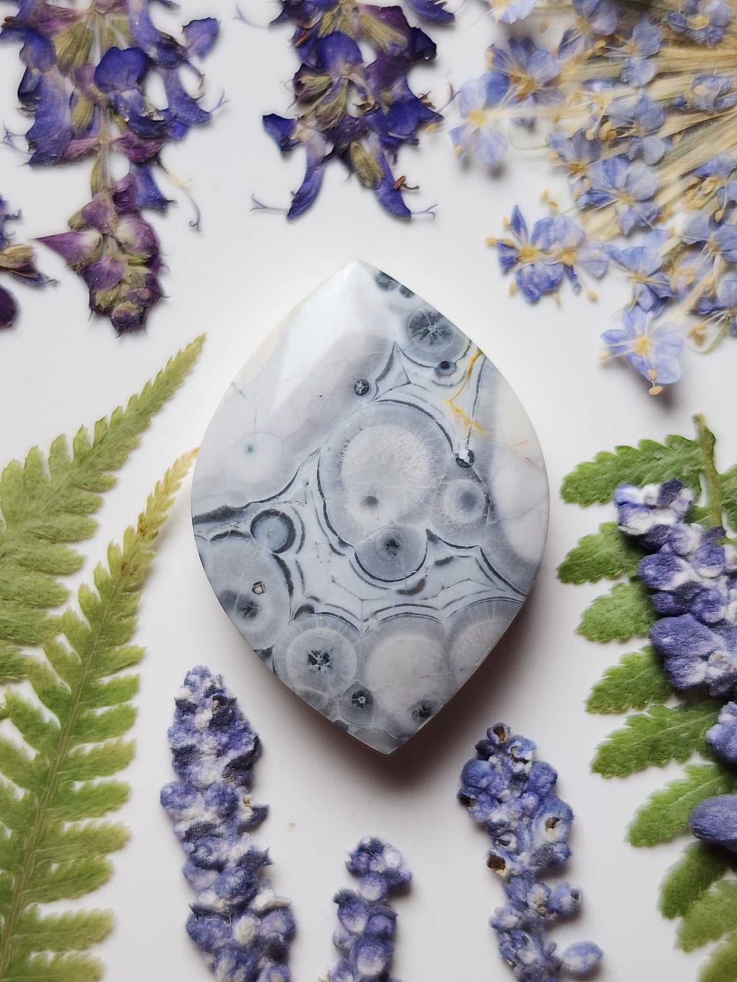 Galaxy Rhyolite