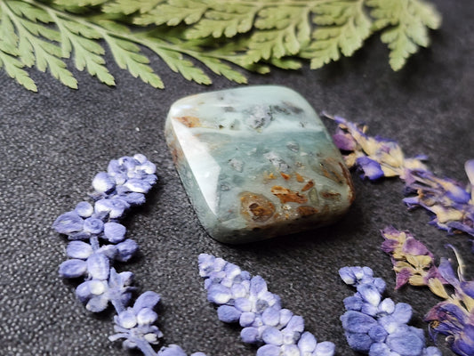 BC Ocean Picture Stone