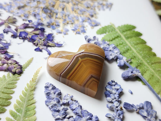 Agua Nueva agate heart