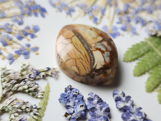 Brecciated Ibis jasper