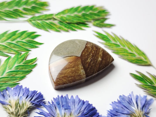 Disaster peak jasper