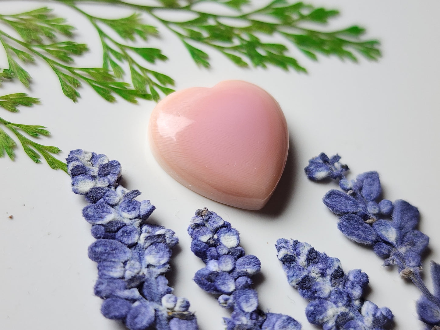 Pink conch shell heart