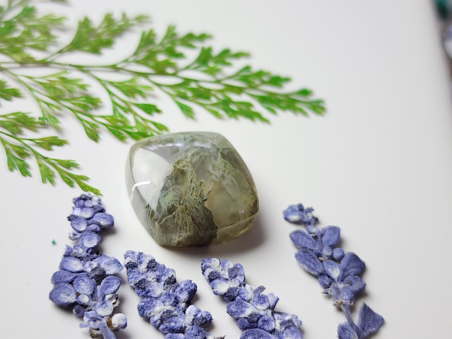 Horse Canyon moss agate
