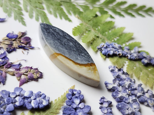 Starry night picture jasper